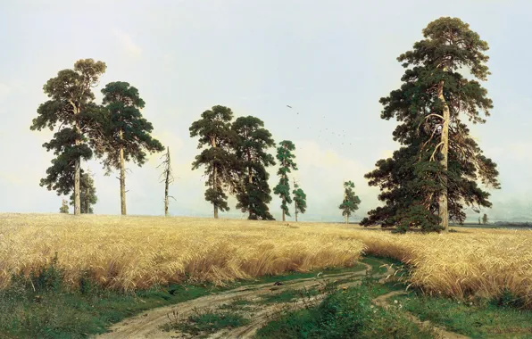 Picture rye, picture, Shishkin, pine