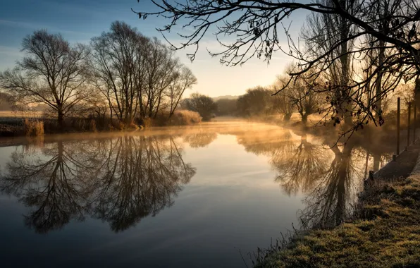 Fog, river, morning