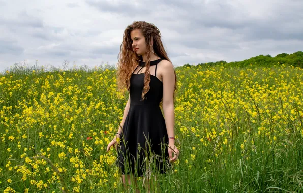 Picture summer, girl, nature