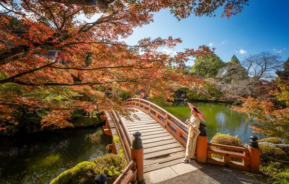 Picture autumn, girl, Park, umbrella, Japan, the bridge