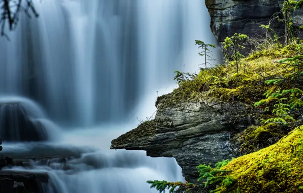 Rock, waterfall, moss, stream, Canada, Albert, Alberta, Canada