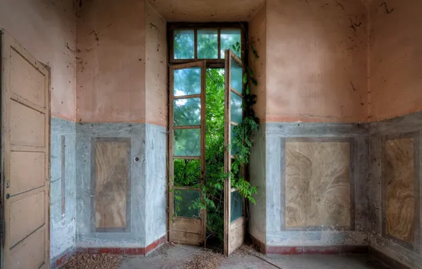 Picture greens, room, the door