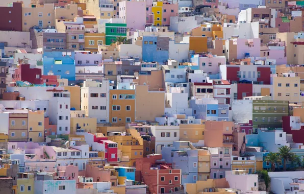 Colors, windows, wall