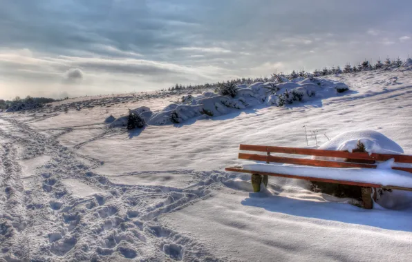 Winter, snow, bench