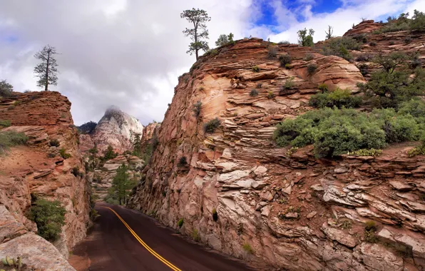 Road, mountains, Zion National Park