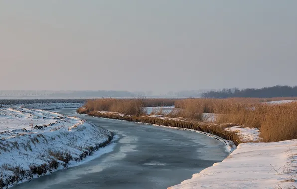 Winter, field, landscape, river