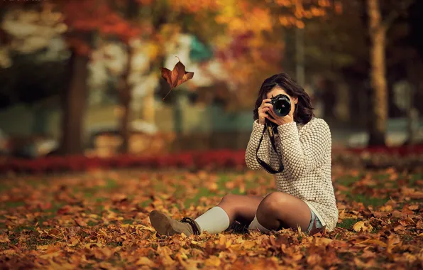 Picture autumn, leaves, girl, trees, Park, yellow, brunette, the camera