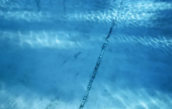 Water, pool, Line