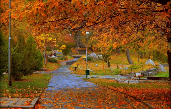 Autumn, Trees, Lights, Park, Fall, Foliage, Park, Autumn