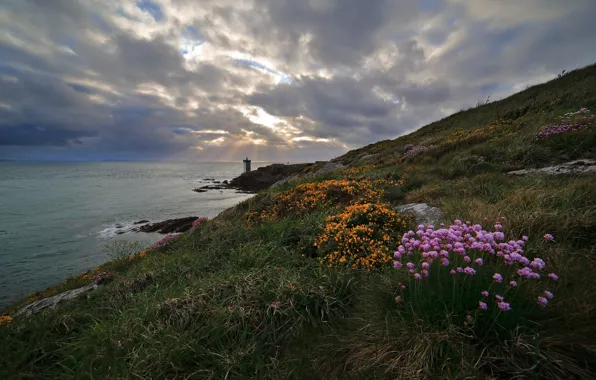 Picture the sky, flowers, coast, lighthouse, slope