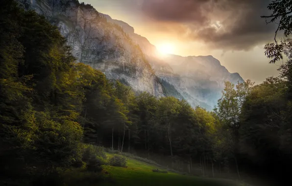 Summer, mountains, nature, morning