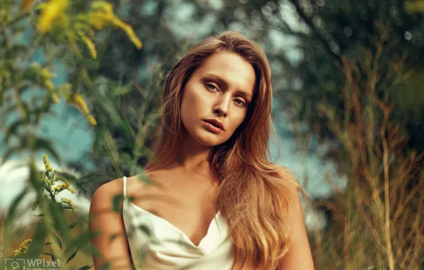 Look, the sun, nature, model, portrait, makeup, hairstyle, brown hair