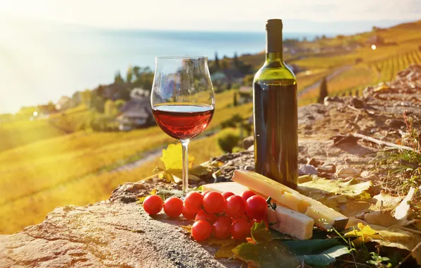 Wine, cheese, tomatoes, the vineyards