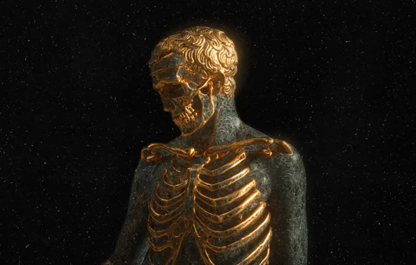 Darkness, skull, teeth, bones, skeleton, gold, gold plated, human