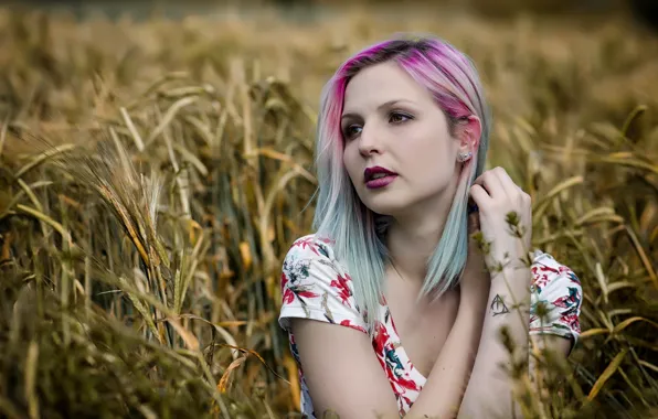 Picture field, girl, model, spikelets, Claudia Suarez