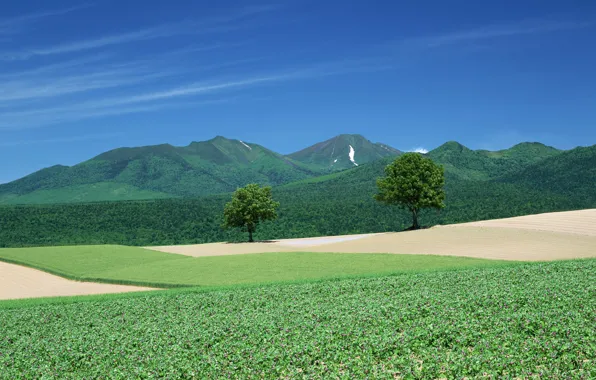 Nature, town, farm