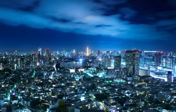 The sky, night, the city, lights, Japan, Tokyo