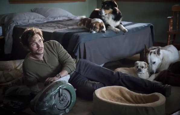 Dogs, bed, actor, the series, motor, character, Hannibal, Hannibal