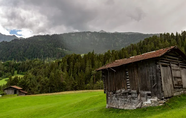 Forest, Alps, houses