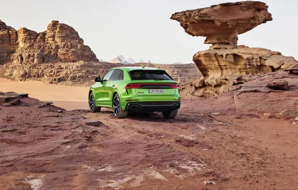 Audi, desert, rear view, crossover, 2020, RS Q8