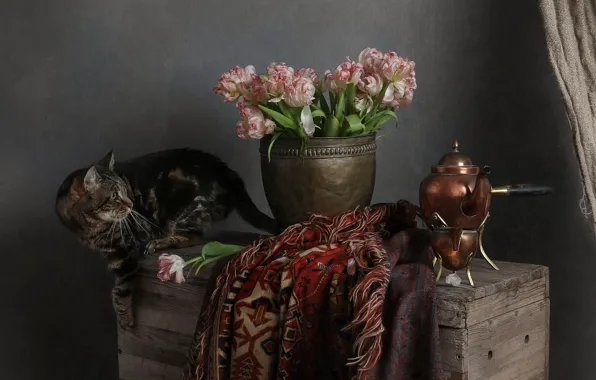 Cat, cat, flowers, pose, Board, bouquet, spring, kettle