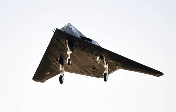 UNITED STATES AIR FORCE, stealth attack plane, Lockheed F-117 Nighthawk, American single - seat subsonic …