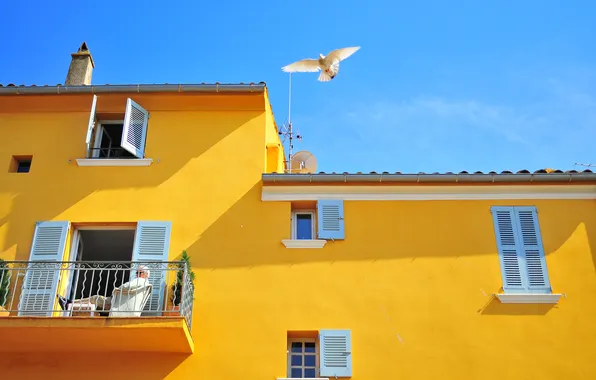 The sky, house, bird, Windows, dove, balcony