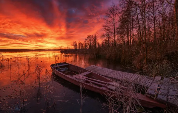 Picture landscape, lake, boat, morning, Yaroslavl oblast, Maxim Evdokimov