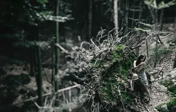 Forest, girl, trees, roots