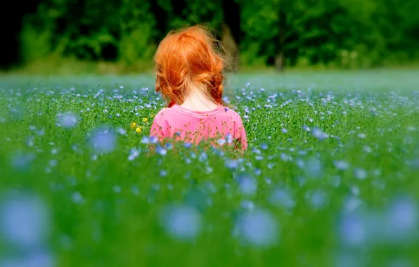 Grass, nature, children, mood, child, girl, red