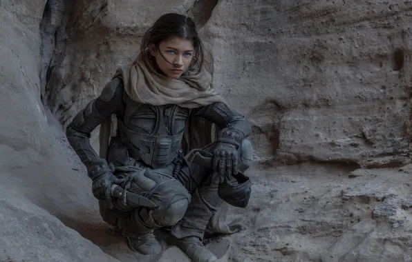 Picture girl, rocks, actress, brunette, sitting, Dune, Zendaya, Zendaya