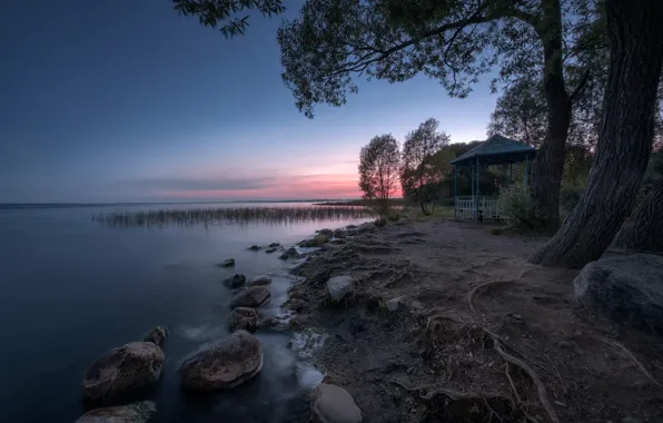 Picture summer, trees, landscape, nature, stones, dawn, shore, morning