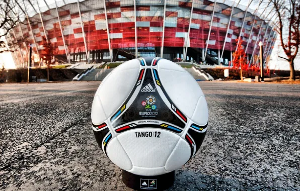 Picture The ball, Leather, Euro 2012, Stadium.