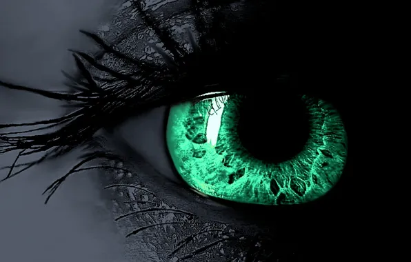 Eyes, eyelashes, the pupil