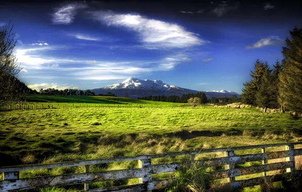 Picture field, the sky, clouds, mountains