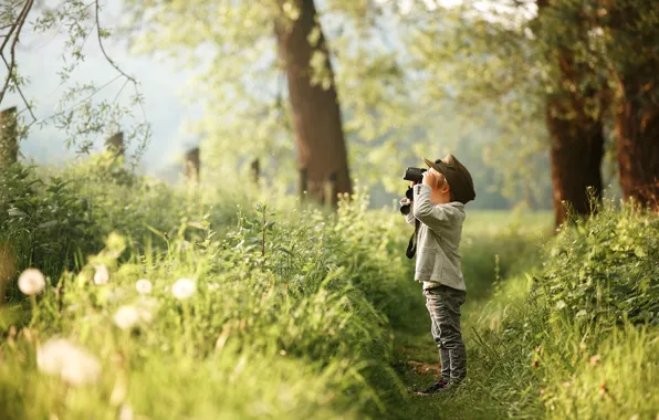 Picture forest, boy, binoculars, path