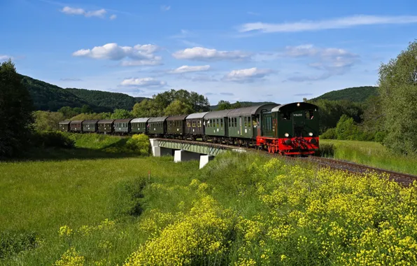 Forest, summer, clouds, flowers, blue, train, meadow, railroad