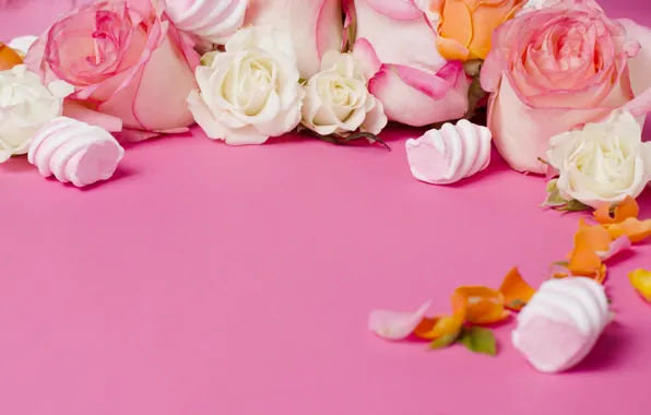 Flowers, roses, buds, marshmallows