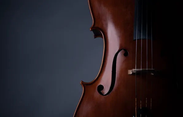 Picture music, violin, strings, musical instrument, 2k hd background
