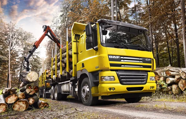 Truck, Wallpaper, Wallpapers, Truck, DAF, The truck, DAF, CF85.460