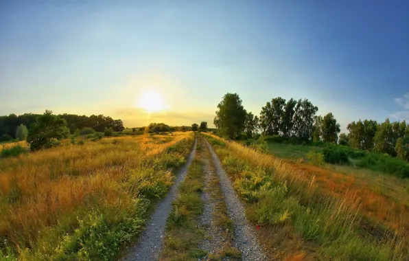 Picture road, summer, the sun, sunrise, glade