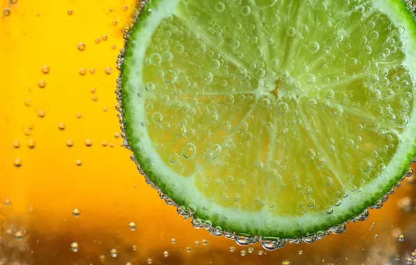 Macro, bubbles, lime, citrus, slices