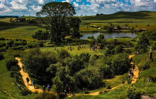 Greens, summer, grass, the sun, clouds, trees, lake, people