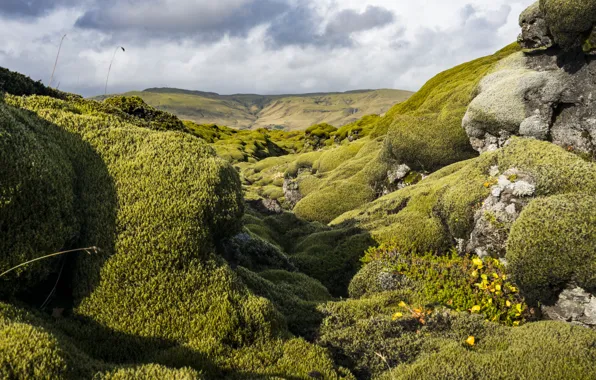 Picture landscape, nature, stones, rocks, moss, Norway