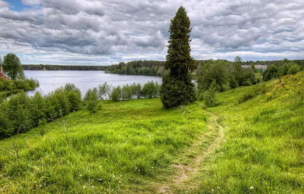 Greens, forest, grass, clouds, trees, lake, houses, Russia
