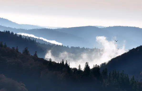 The sky, landscape, mountains