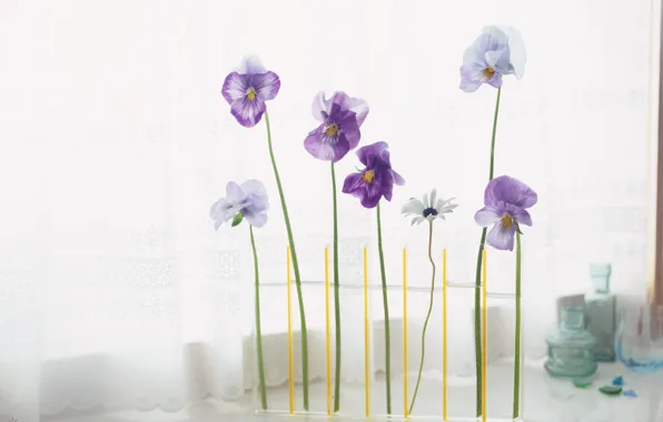 Picture flowers, flowers in a vase, floral arrangement