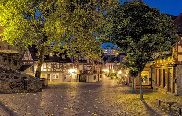 Picture leaves, trees, lights, street, home, the evening, Germany, lights