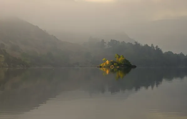 Picture trees, fog, lake, surface, reflection, hills, island