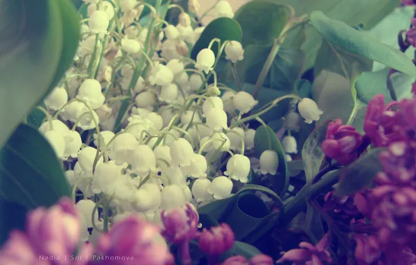 Lilies of the valley, lilac, bouquet. flowers